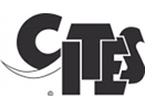 Cites logo