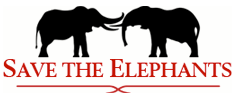 Ste logo